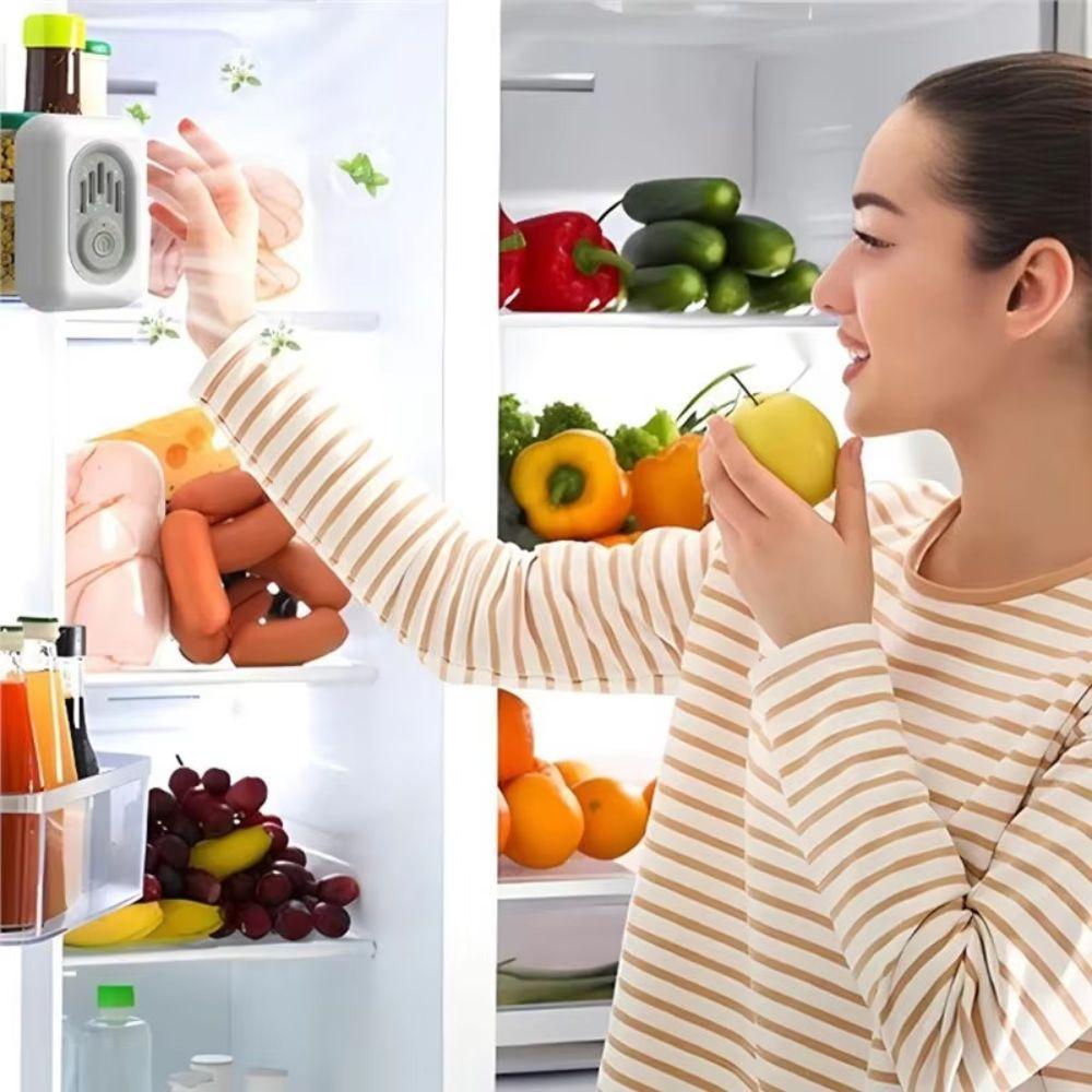 Fresh Preservation Refrigerator Ozone Deodorizer Fridge Ozone Sterilizer  Kitchen