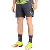 Puma Individual Cup Fashion Comfortable Soft Skin-Friendly Three-Quarter Casual Shorts Men shorts Galaxy-Gray 659897-08