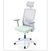 OEING Ergonomic Office Chair