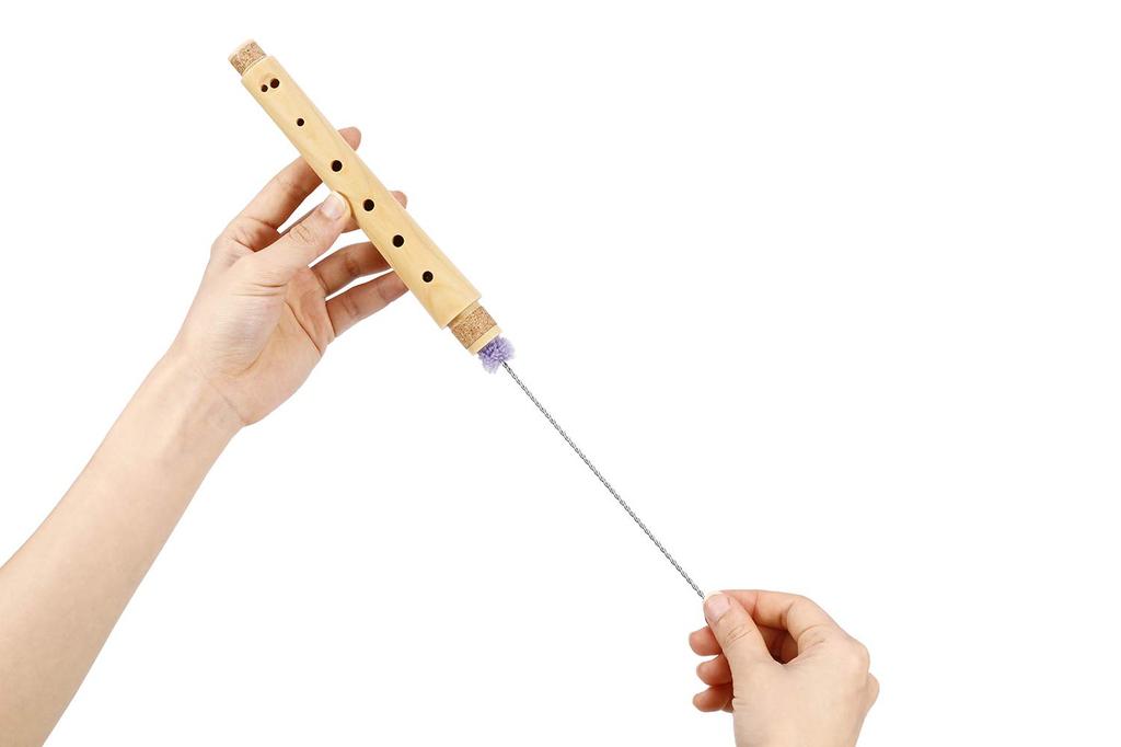 Eastar Soprano C Elementary School with Case and Care Suitable for Beginners ERS-31M Recorder, Maple, Key, Grade, Kit, (German Style)