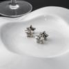 Fashionable Double-sided Star Earrings for Women