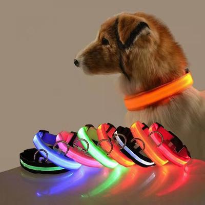 Köpek – Köpek Tasmaları ve Tasma Kayışları