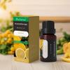 Grenzüberschreitender Aroma-Diffusor für ätherische Öle für Massage & Aromatherapie