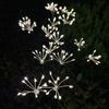 In-Stock Solar Dandelion Firefly Garden Lights: Flower Style Courtyard and Lawn Decoration