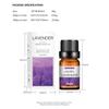 Dissolve Aromatherapy Essential Oils, Plant Essential Oils, Perfume Oils, Perfume Essential Oils, Aromatherapy Essential Oils for Humidifier