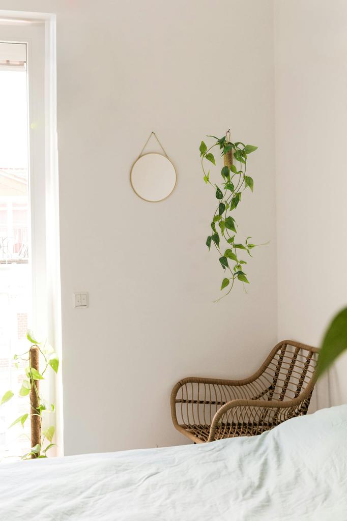 WillingYou Fake Green Hanging Plants with Wall Hanging Artificial Artificial Potted Total Length 70cm Vase, Plants, Plants,