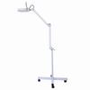 Ständer Schönheit Kosmetik Make-up 5x Vergrößerungs Beleuchteter Vergrößerer Licht Boden LED Lampe Weiß