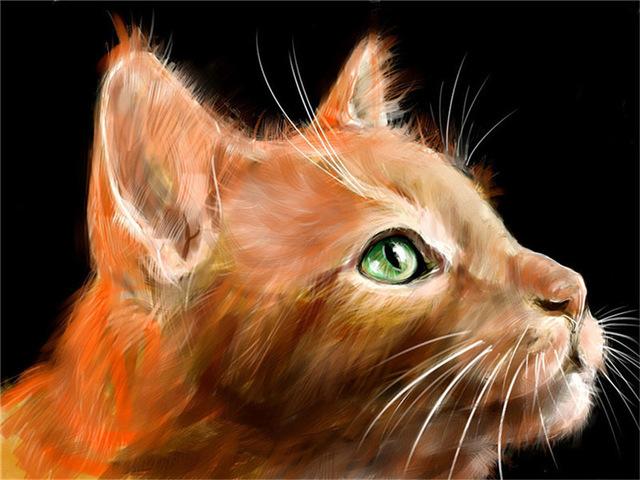 Pictură cu diamante 5d, nou sosiri, pisică drăguță, broderie cu diamante lucrată manual, mozaic de animale, cadou complet rotund/pătrat, decor acasă