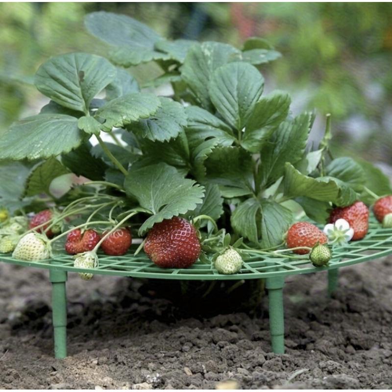 2pcs Strawberry Support Stake Set, Strawberry Plant Stakes for Pots.for Supporting Strawberries, Berries,Small Vegetable Plants.