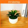 Artificial Indica Sinocrassula Potted Plant Succulent Plant For Decor Home