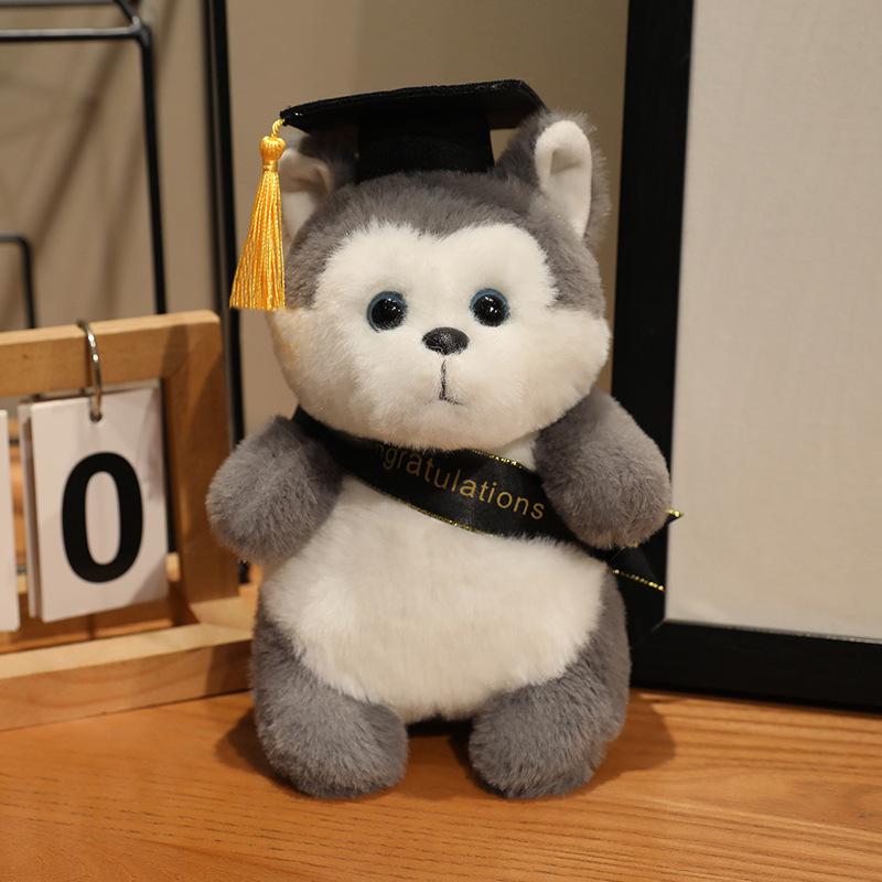 Graduation Gift: Doctor Bear for Students - Kindergarten to University 20cm/115g