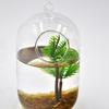 Plastic Bonsai Craft Decoration Fake Artificial Plants Miniature Coconut Palm Tree Micro Landscape