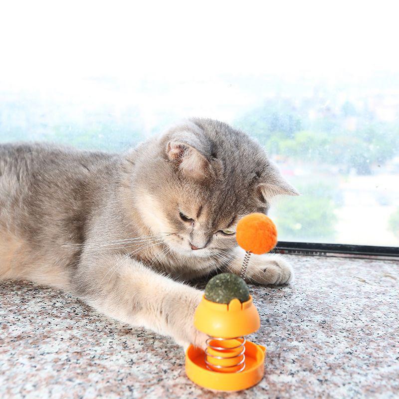 Catnip Stickers Rotatable Cat Licking Balls Edible And Healthy With Spring Ball Catnip Bubbles Lickable For Cats Catnip Ball Toy