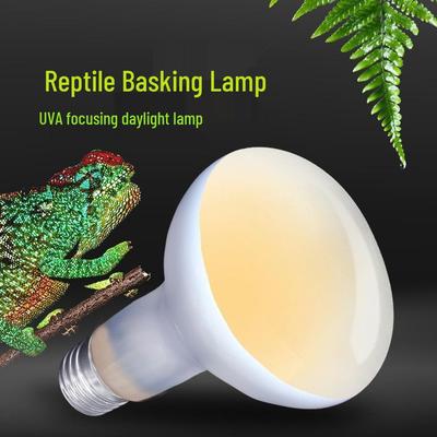 Nomo 220v UVA Reptile Heating Lamp for Tortoise, Turtle, Lizard, Gecko - No Color Box Day Lamp