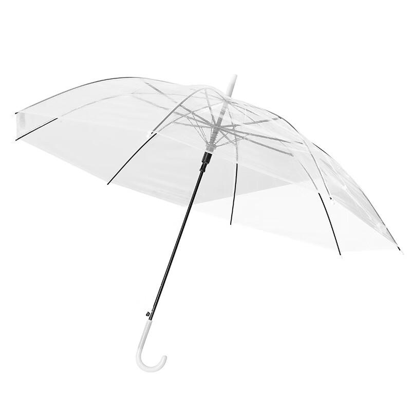 

Transparent Straight Handle Umbrella (2-Pack)