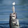 12cm Fishing Bait Tackle Unpainted Fishing Lures for Freshwater And Saltwater Multi Jointed Swimbaits Fishing Lures for Crappie
