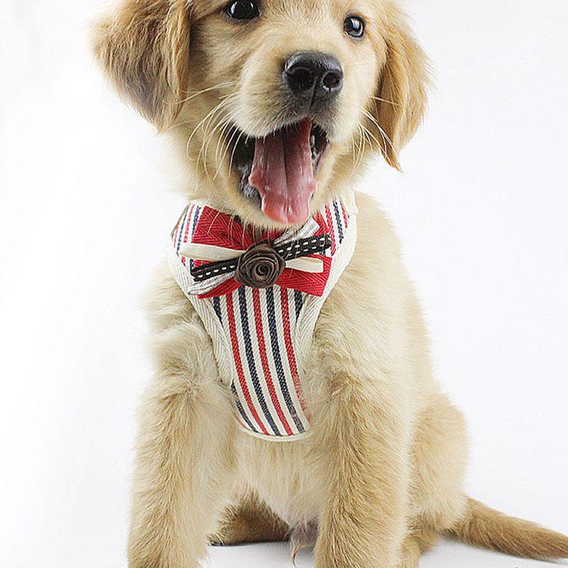 Soft Padded Dog Harness With Easy Hook And Loop Closure For Small And Medium Dogs