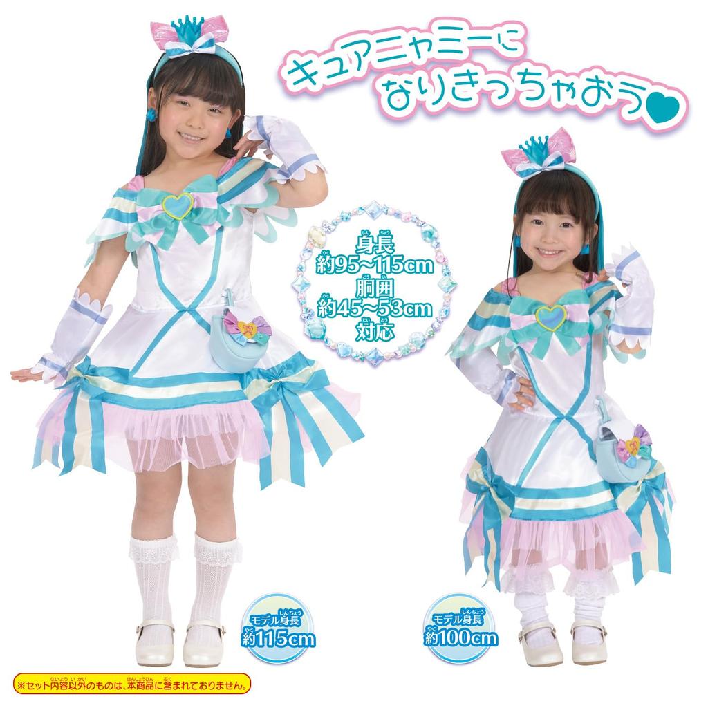 [Bandai] Wonderful Pretty Cure ! Transform Pretty Cure Nyami