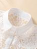Women's Pointed Neck Lace Fake Collar, Fashionable and Versatile, Semi Transparent and Breathable, Detachable Fake Collar