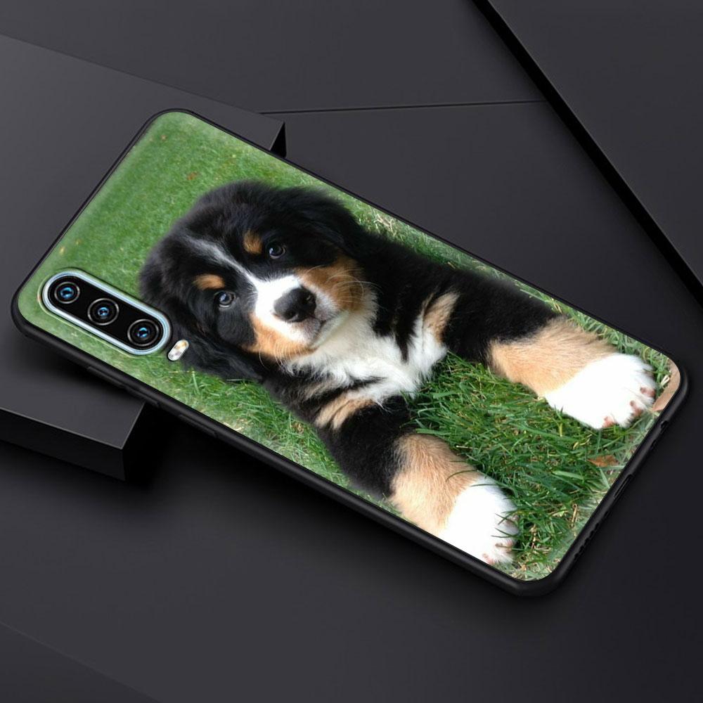 Golden Retriever Friend For Huawei P30 Lite Phone Case For Huawei P50 Pro P20 P40 Lite E P Smart Z 2021 Y6p Y9s Y7a 2019 Cover