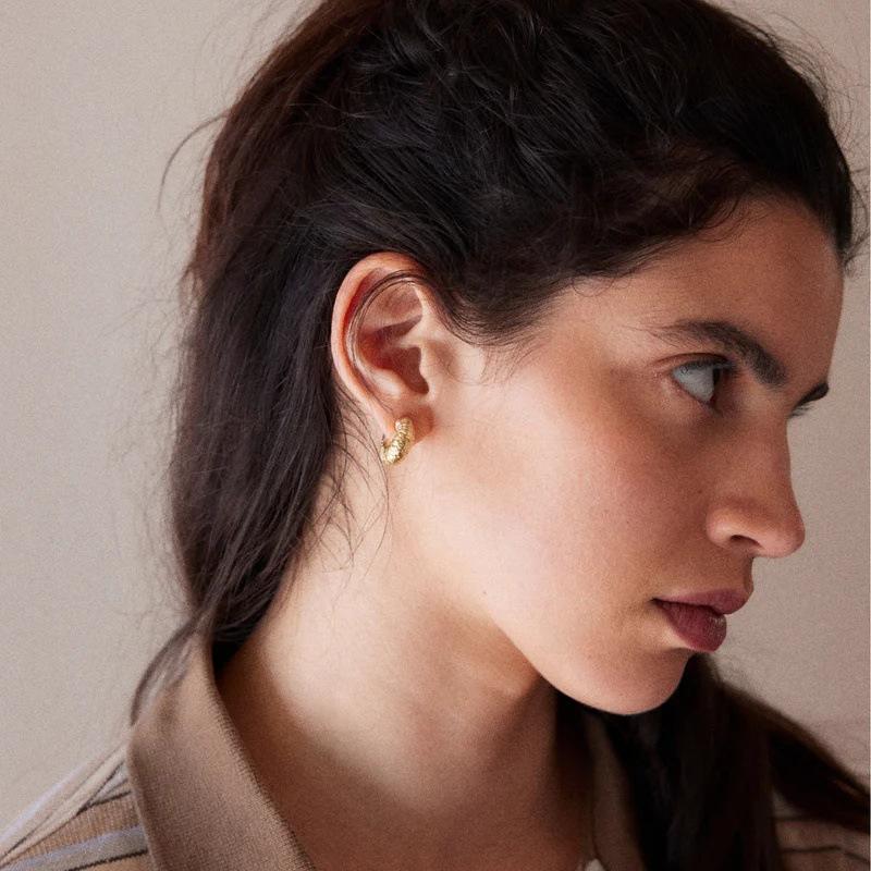 Premium Metal Texture Circle Earrings S925 Silver Needle Earrings Fashion Versatile Premium Trendy Temperament Earrings