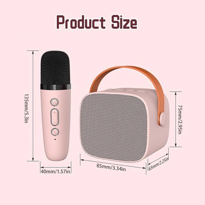 Micro Karaoké - Machine - 2 Micros Sans Fil - Haut-Parleur Portable LED - Rose