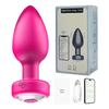 Long-Distance Wireless Remote Control Vibrating Butt Plug Toy