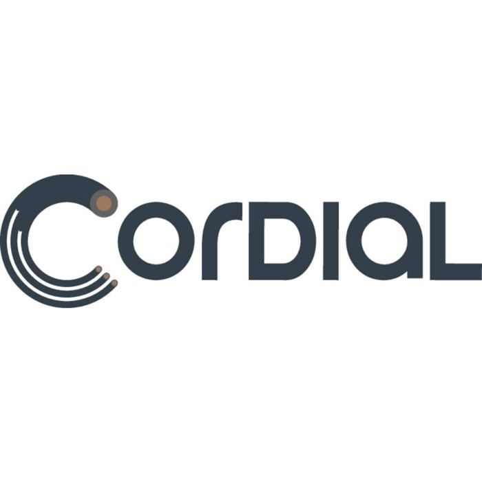 Cordial - Cordial Câble Twin RCA M / Jack Mono - Taille : 3 M FairLine