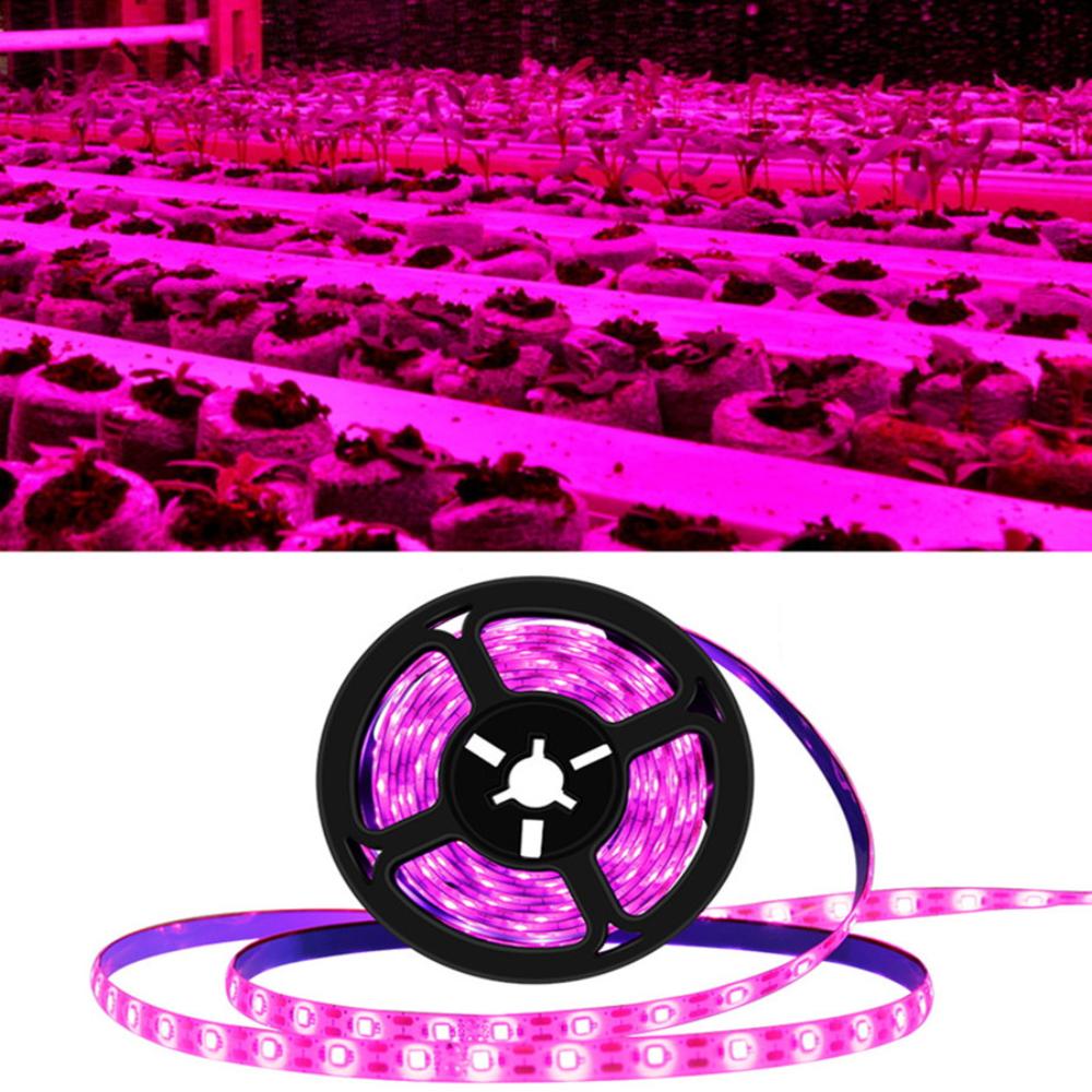 LED Waterproof Grow Light Full Spectrum 5V USB 5m Grow Light Strip 2835 LED Phyto Lamps For Plants Greenhouse Hydroponic Growing