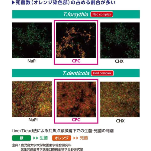 HABITPRO 1 Bottle (1080ml) + Measuring Cup [Set]