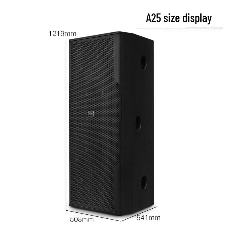 KAXISAIER A25S Dual 15-inch Professional Passive Speaker CN plug (adapter included) (CN version)