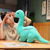 Cartoon Simulation Dinosaur Plush Toy Tyrannosaurus Rex Stuffed Soft Triceratops Cute Doll Toys