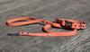 Hexa City Dog Leash, Width , L, / Peach