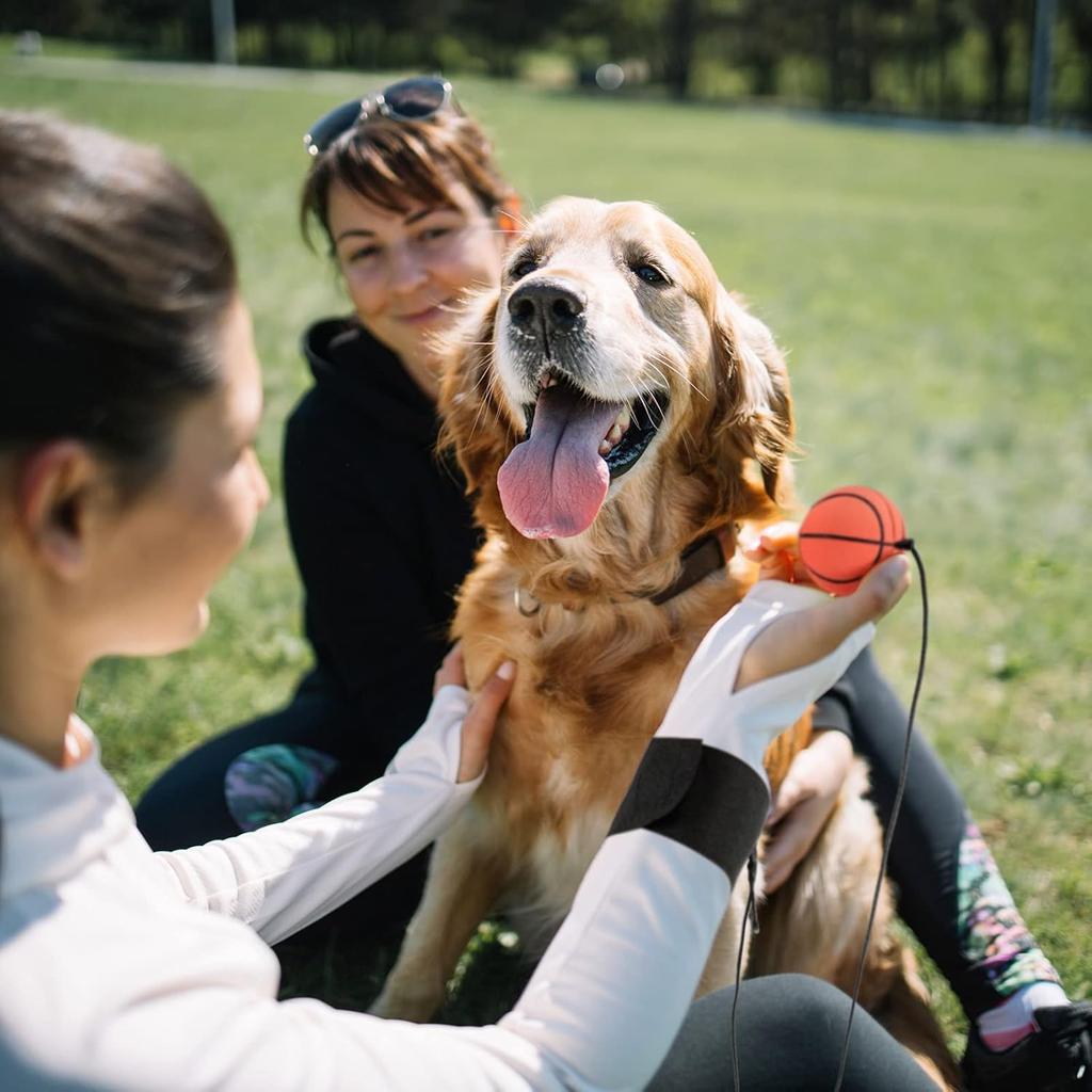 4 Piece Sports Ball Wristband Set Basketball, Baseball Football On Elastic String - Perfect For Boys Outdoor Play Pet Dog Toys
