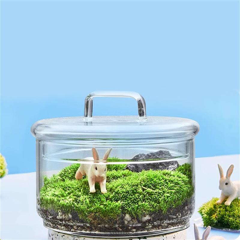 Micro Landscape Moss Plants Glass Bottle With Lid Fresh Green Moss Potting Glass Terrarium Creative Bonsai Plants Indoor Decor