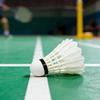 Badminton – Skyttlar