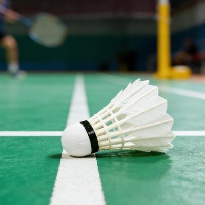 Hight Speed Training Badminton Ball Excellent Stability for Indoor and Outdoor Sports Badminton Training Competition Accessories