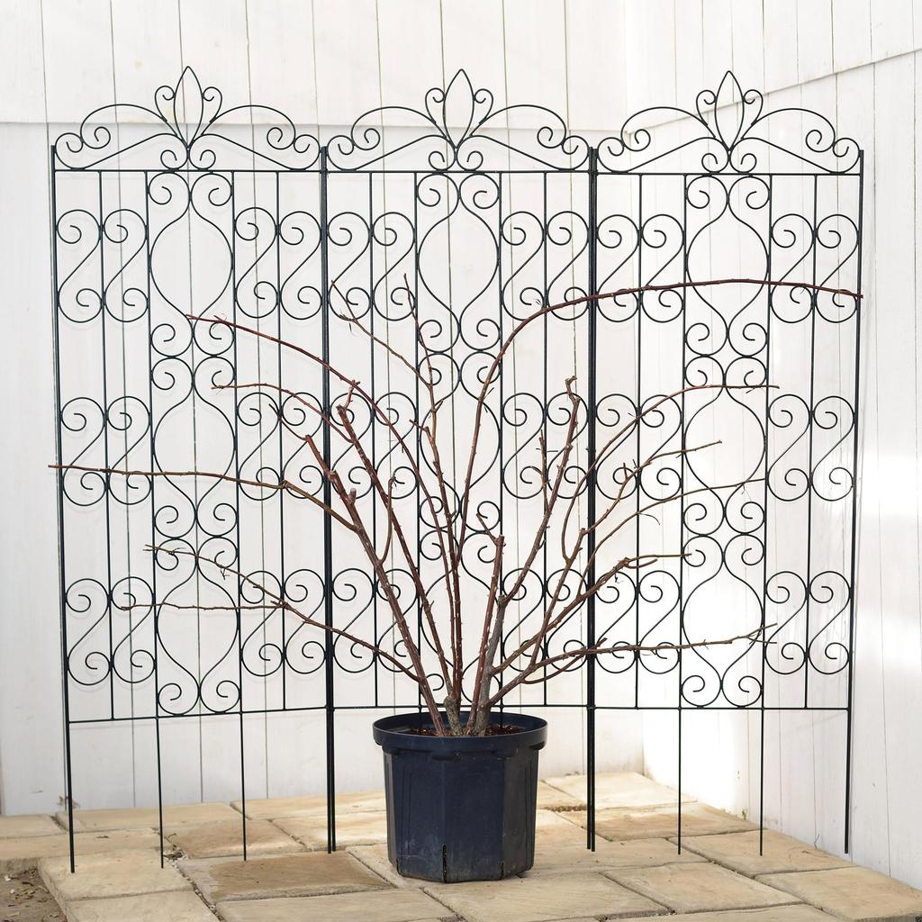 Takasho G-Story Design Klimrek 1800