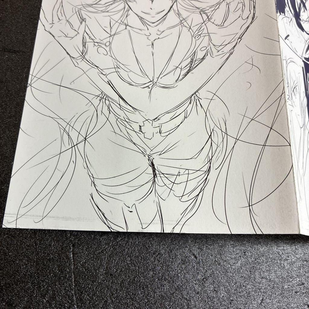 [USED] Akame ga Kill! Toranoana Purchase Bonus 4-page Rough Art Book Rare Esdeath