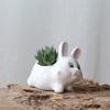 Japanese-Style Groceries New Gardening Flower Pots, Creative Office Desktop Potted Plants White Succulent Flower Pots Ceramic