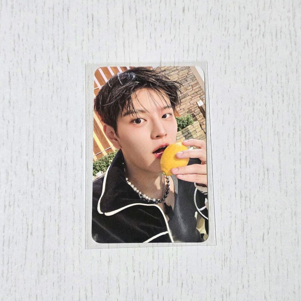 [USED] Stray Kids 'DO IT' FANS Resurrection Bonus Trading Card Seungmin