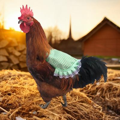 Ptáci – Oblečení pro ptáky