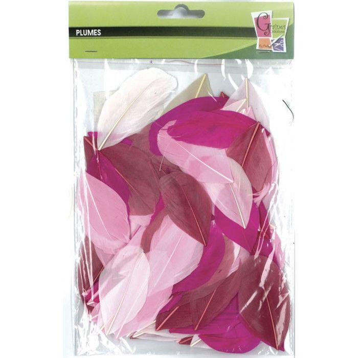 Plumes d'oie coupées - Camaïeu Rose - Sachet de 10g - Longueur 6 cm