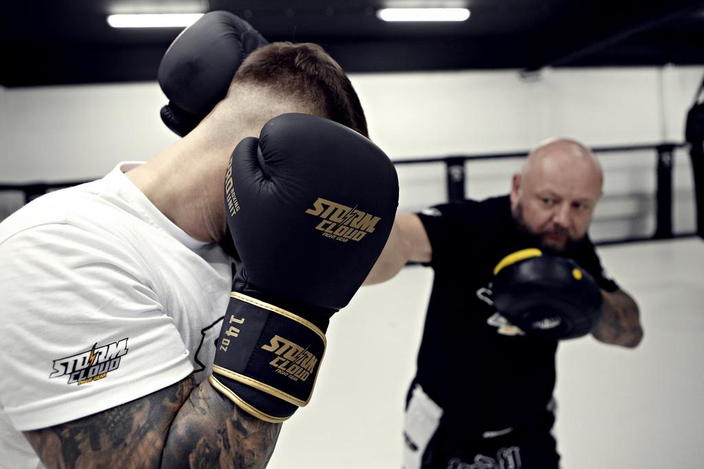 StormCloud Boxing Pro Echte Leder Boxhandschuhe Schwarz/Gold 12oz