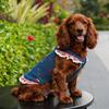 Denim Cherry Pet Dog Skirt Breathable Mesh Cat Clothes Puppy Clothing with Leash  Couple Outfit