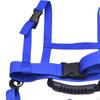 Children's Ski And Snowboard Strap, Shoulder Teaching Training Strap for