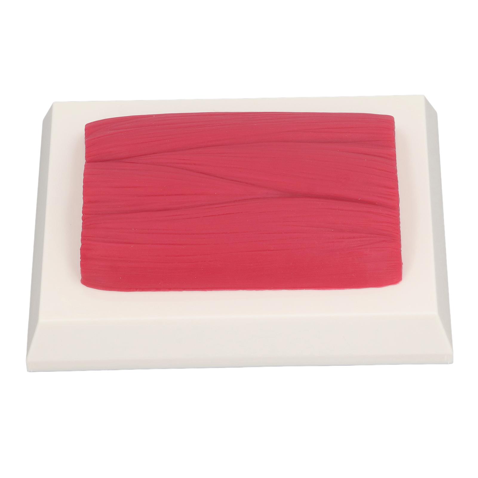 

Модель мышечной ткани человеческого тела. Напоминание о здоровье. Реальная тактильная анатомическая копия мышечной ткани.