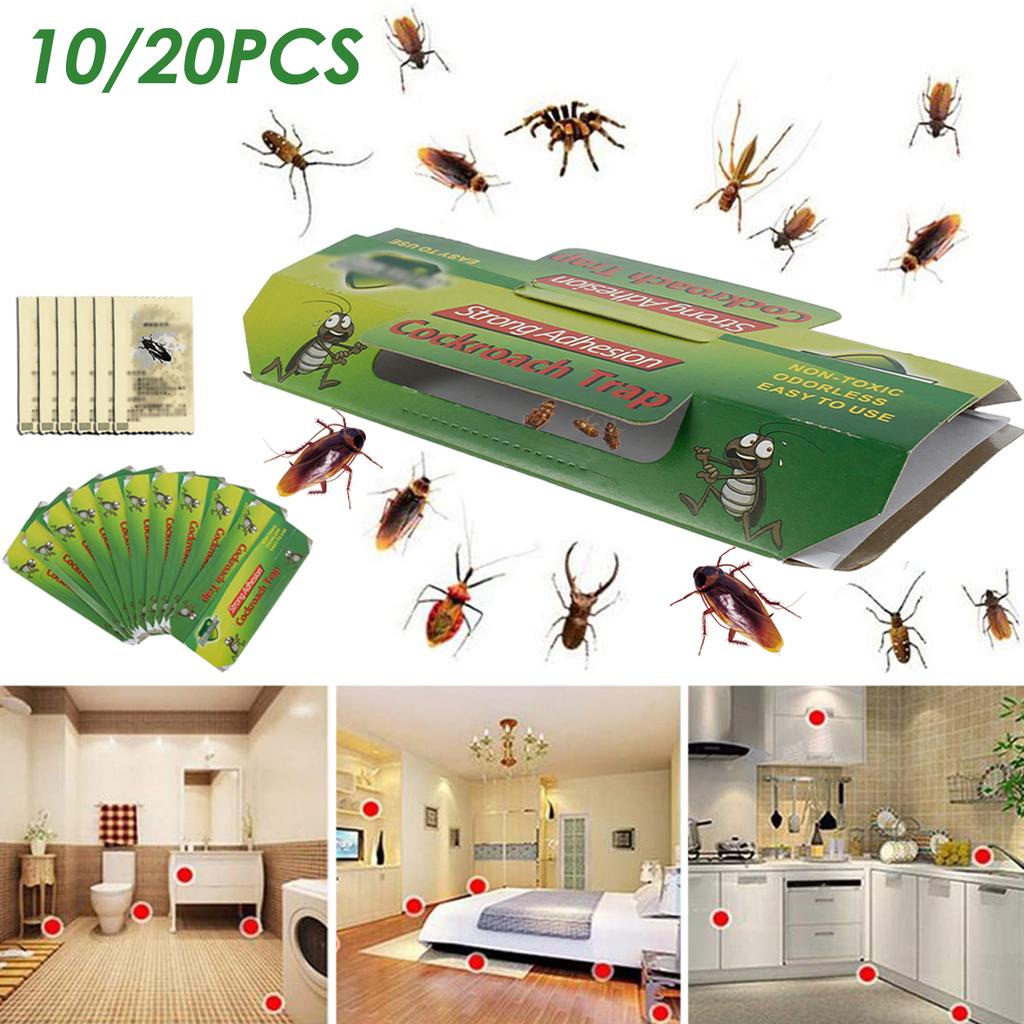 10-80 st Kackerlacka Klisterbete Fälla Hus Skadedjur Starkt Klister Fångare Dödar Icke-giftig Effektiv Kontroll Kök Badrum