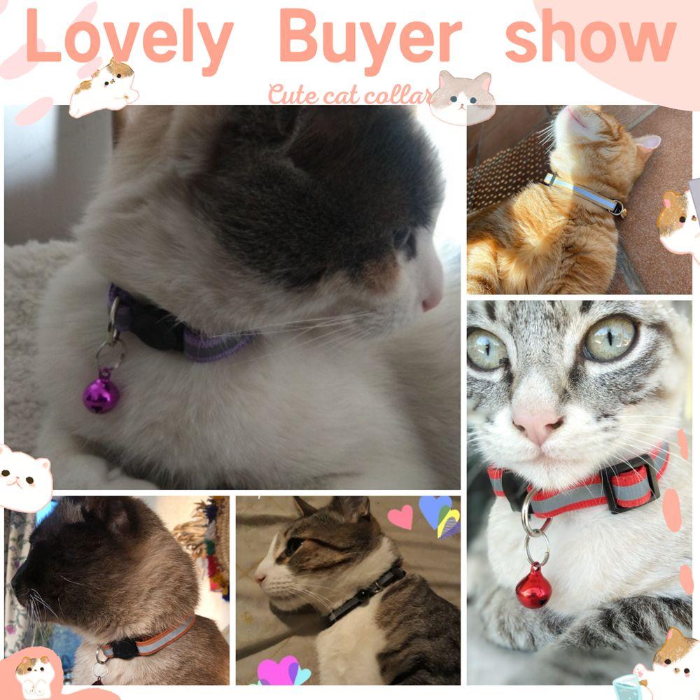 indestructible cat collar