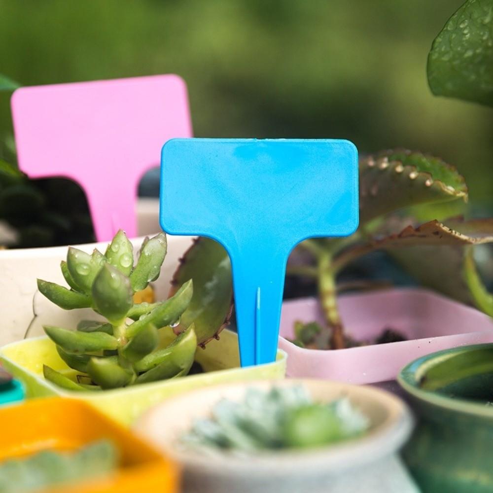 100PCS Thickened Stake Tags Moisture-proof Markers Label Plastic Writing Plate  Seedlings Tray